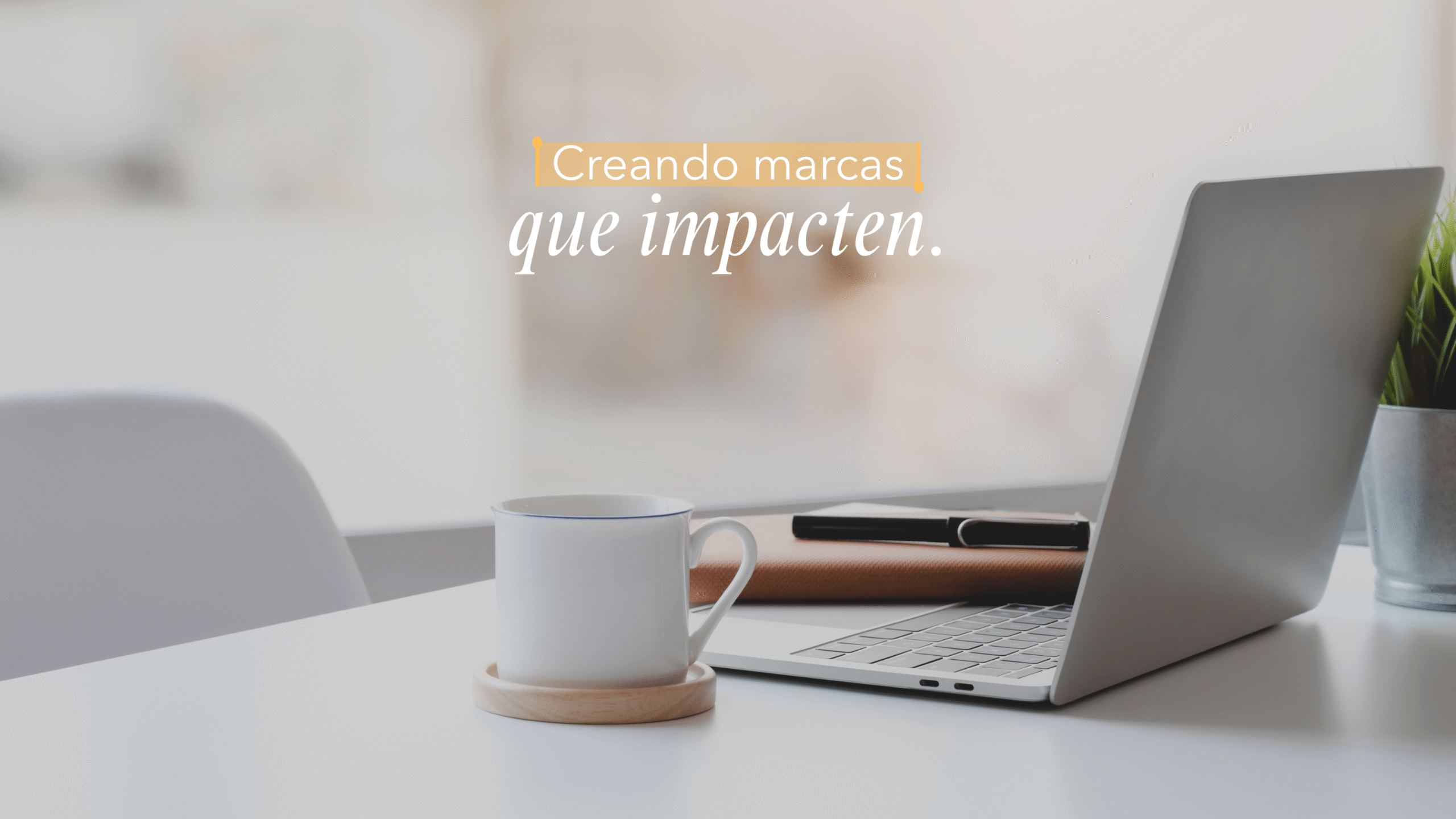 banner wp